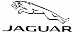 Lost Jaguar Car Keys